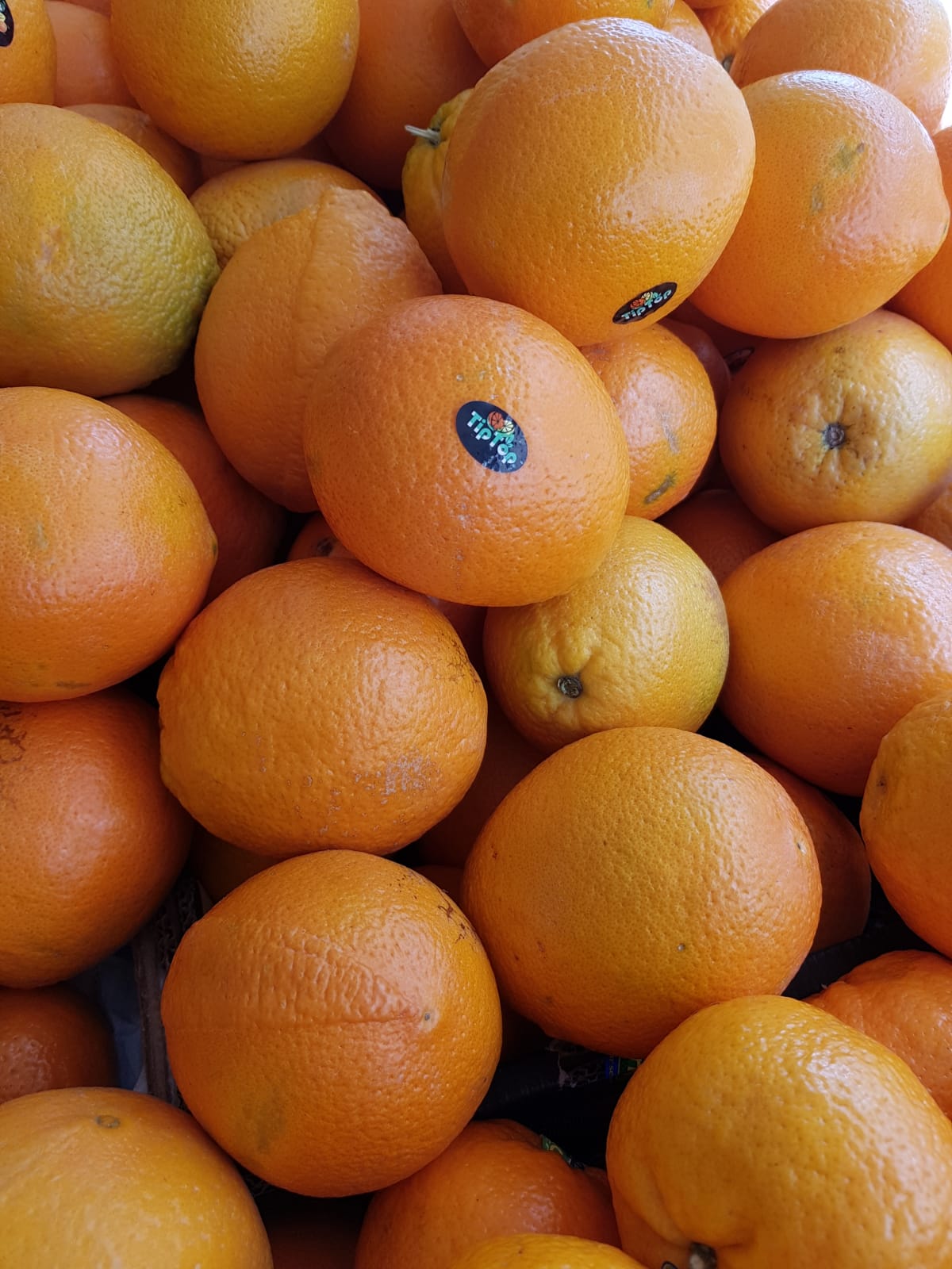 WhatsApp Image 2020-04-19 at 7.02.42 PM (2).jpeg.jpeg